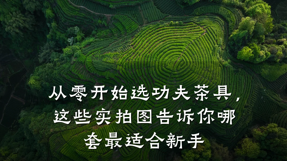 从零开始选功夫茶具,这些实拍图告诉你哪套最适合新手