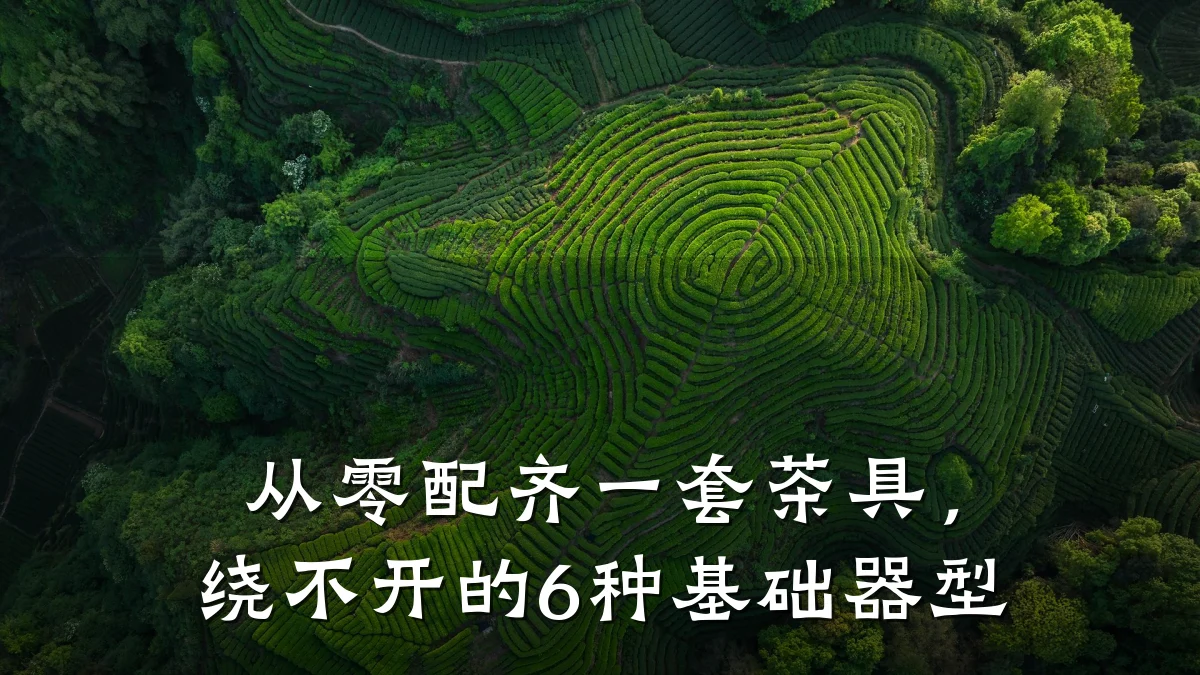 从零配齐一套茶具,绕不开的6种基础器型