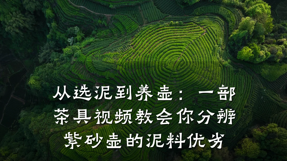 从选泥到养壶:一部茶具视频教会你分辨紫砂壶的泥料优劣