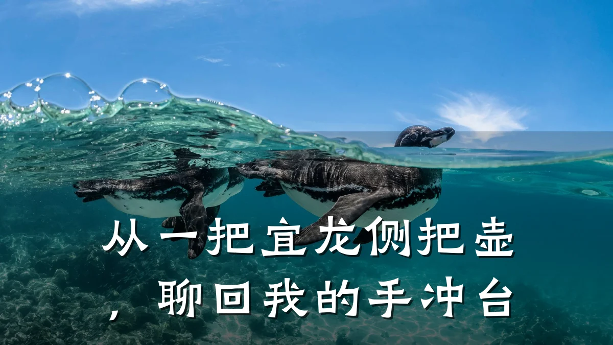 从一把宜龙侧把壶,聊回我的手冲台