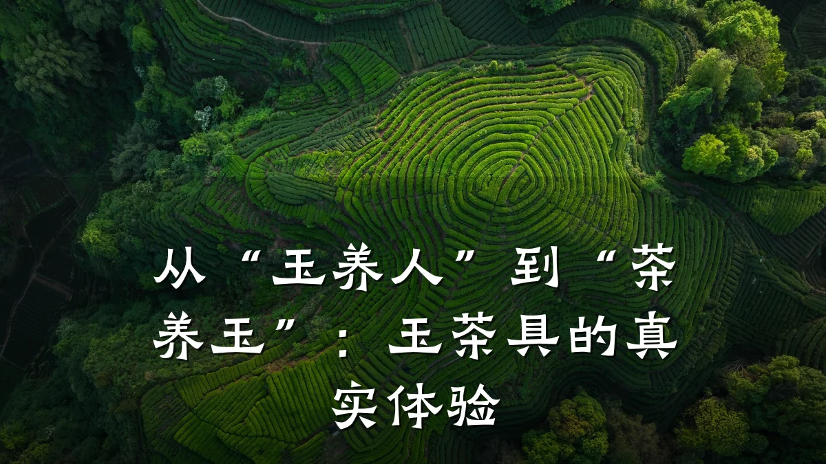 从“玉养人”到“茶养玉”:玉茶具的真实体验