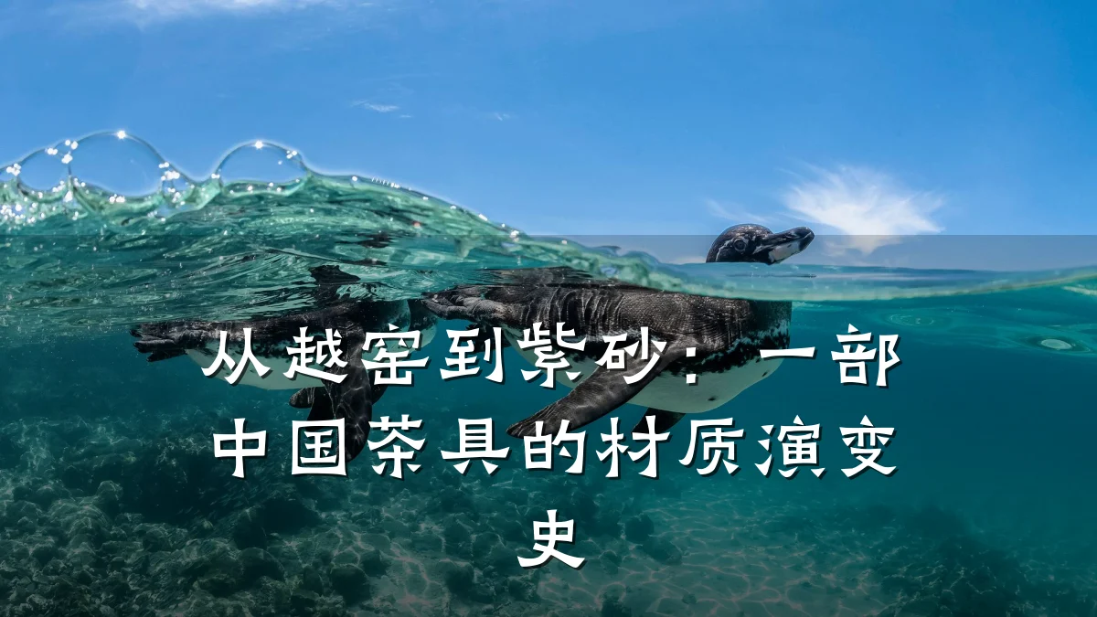 从越窑到紫砂:一部中国茶具的材质演变史