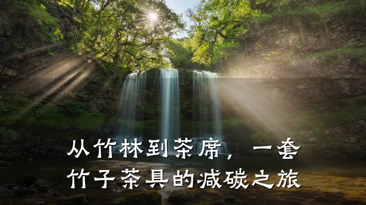 从竹林到茶席，一套竹子茶具的减碳之旅