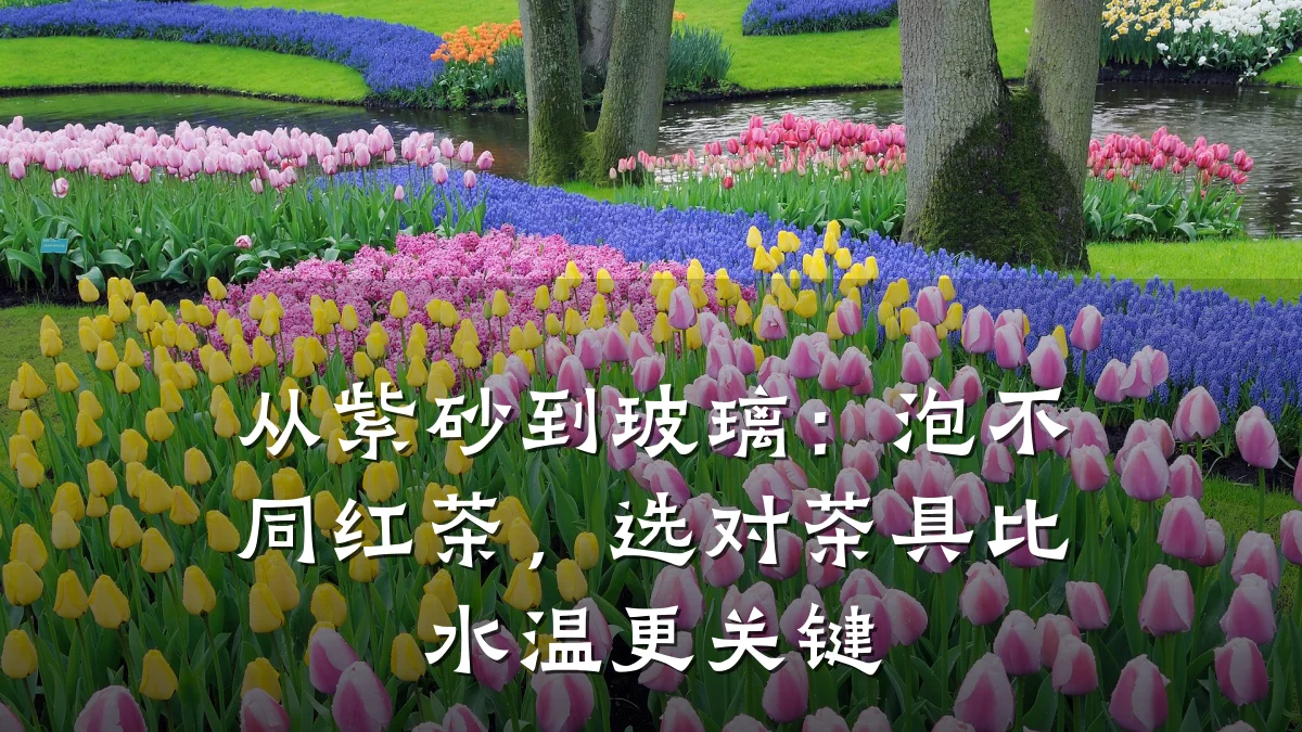 从紫砂到玻璃:泡不同红茶,选对茶具比水温更关键