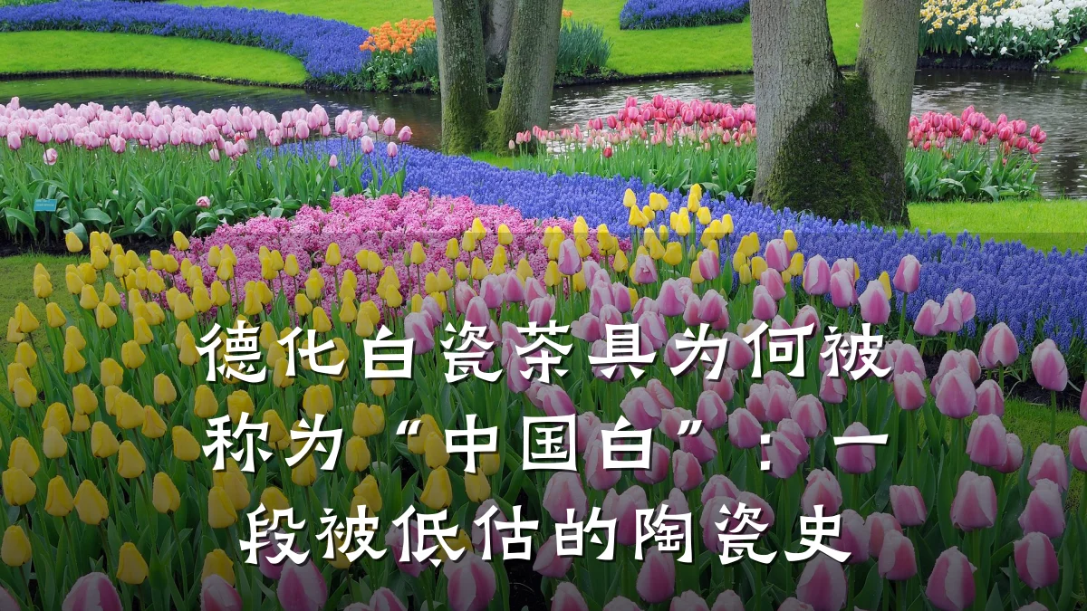 德化白瓷茶具为何被称为“中国白”:一段被低估的陶瓷史
