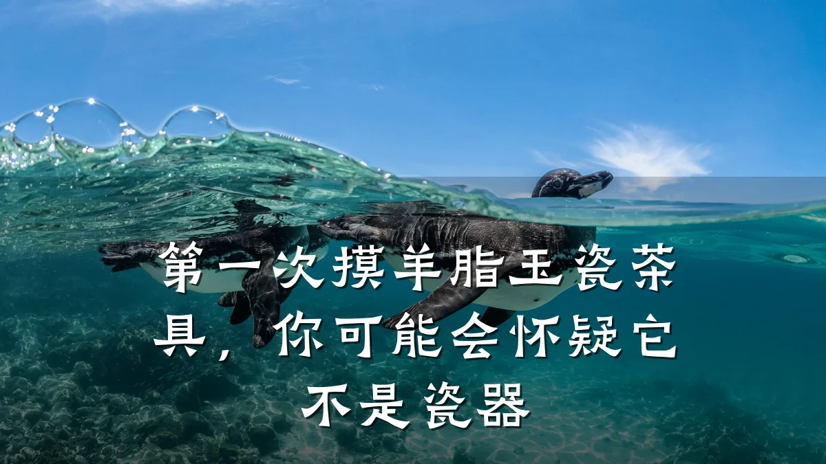 第一次摸羊脂玉瓷茶具,你可能会怀疑它不是瓷器