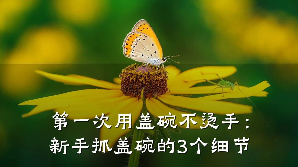 第一次用盖碗不烫手:新手抓盖碗的3个细节