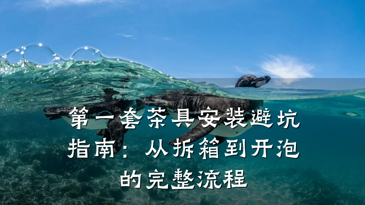 第一套茶具安装避坑指南:从拆箱到开泡的完整流程