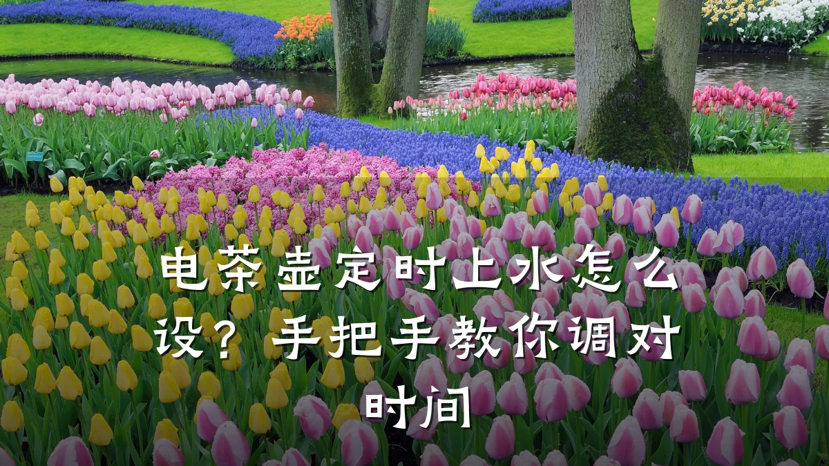 电茶壶定时上水怎么设?手把手教你调对时间