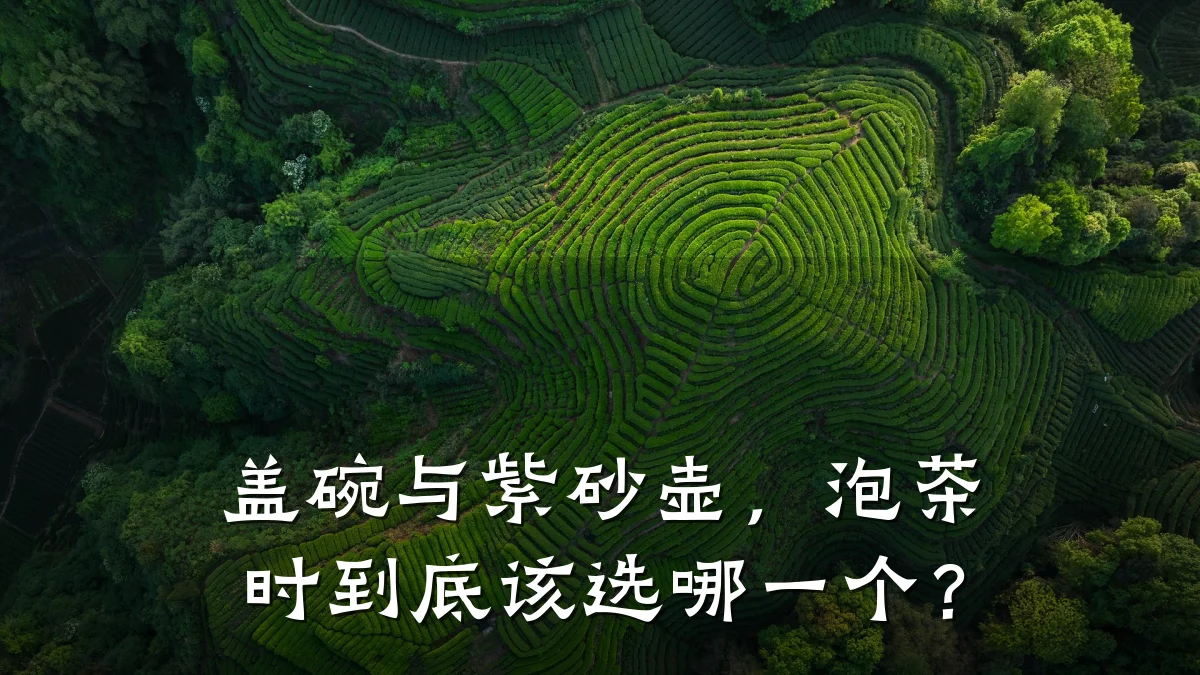 盖碗与紫砂壶,泡茶时到底该选哪一个?