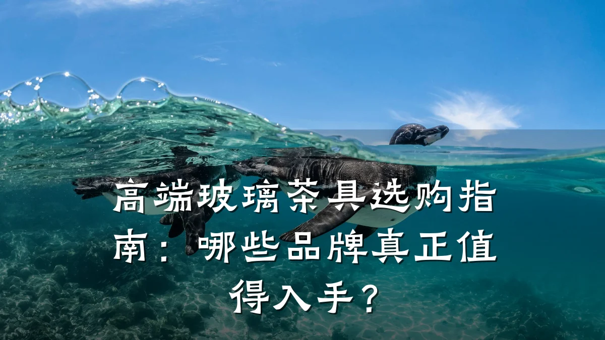 高端玻璃茶具选购指南：哪些品牌真正值得入手？