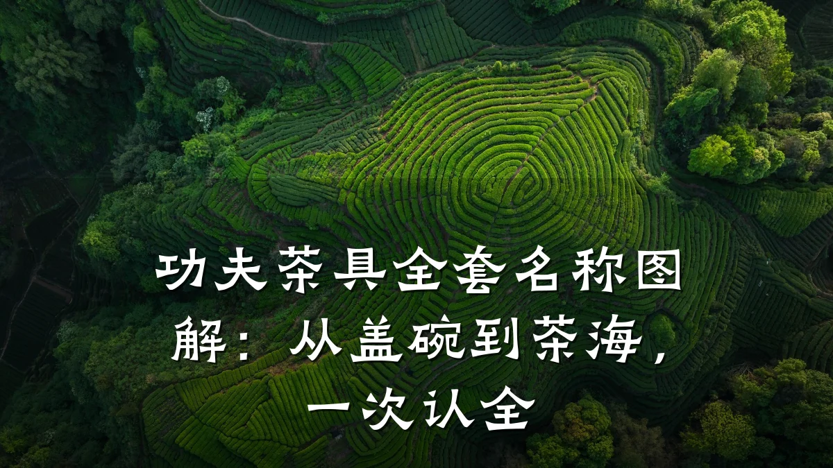 功夫茶具全套名称图解:从盖碗到茶海,一次认全