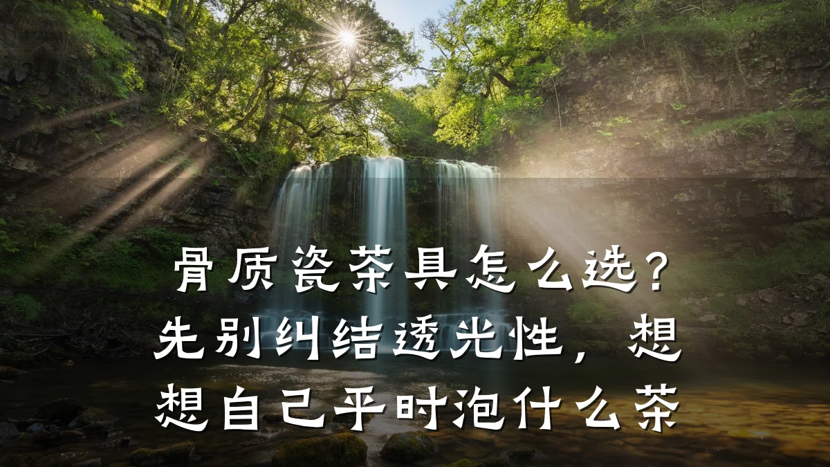 骨质瓷茶具怎么选?先别纠结透光性,想想自己平时泡什么茶