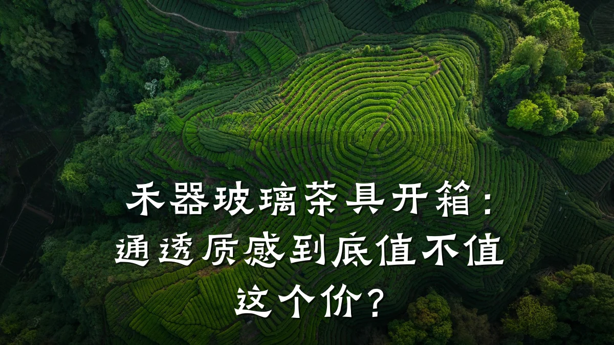 禾器玻璃茶具开箱:通透质感到底值不值这个价?