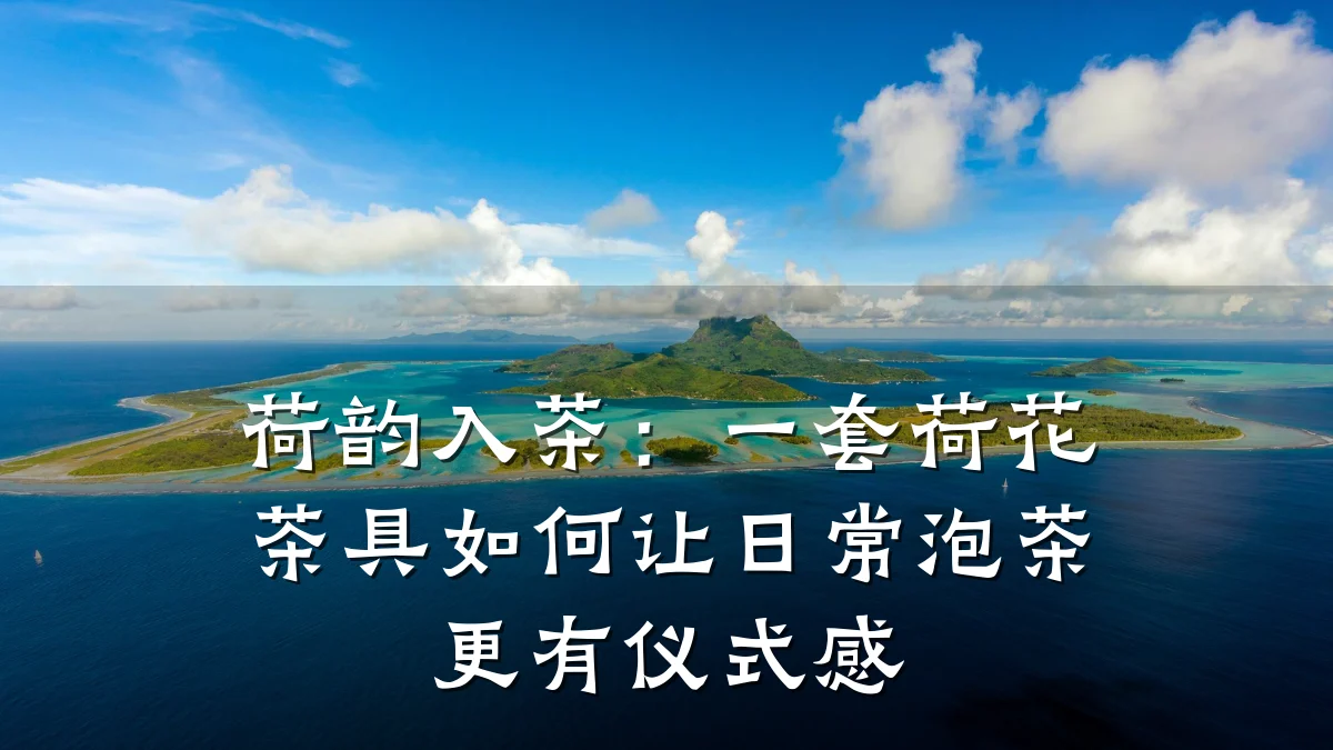 荷韵入茶:一套荷花茶具如何让日常泡茶更有仪式感