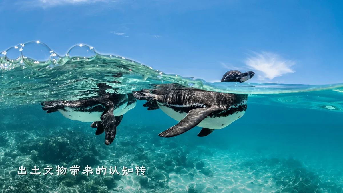 出土文物带来的认知转