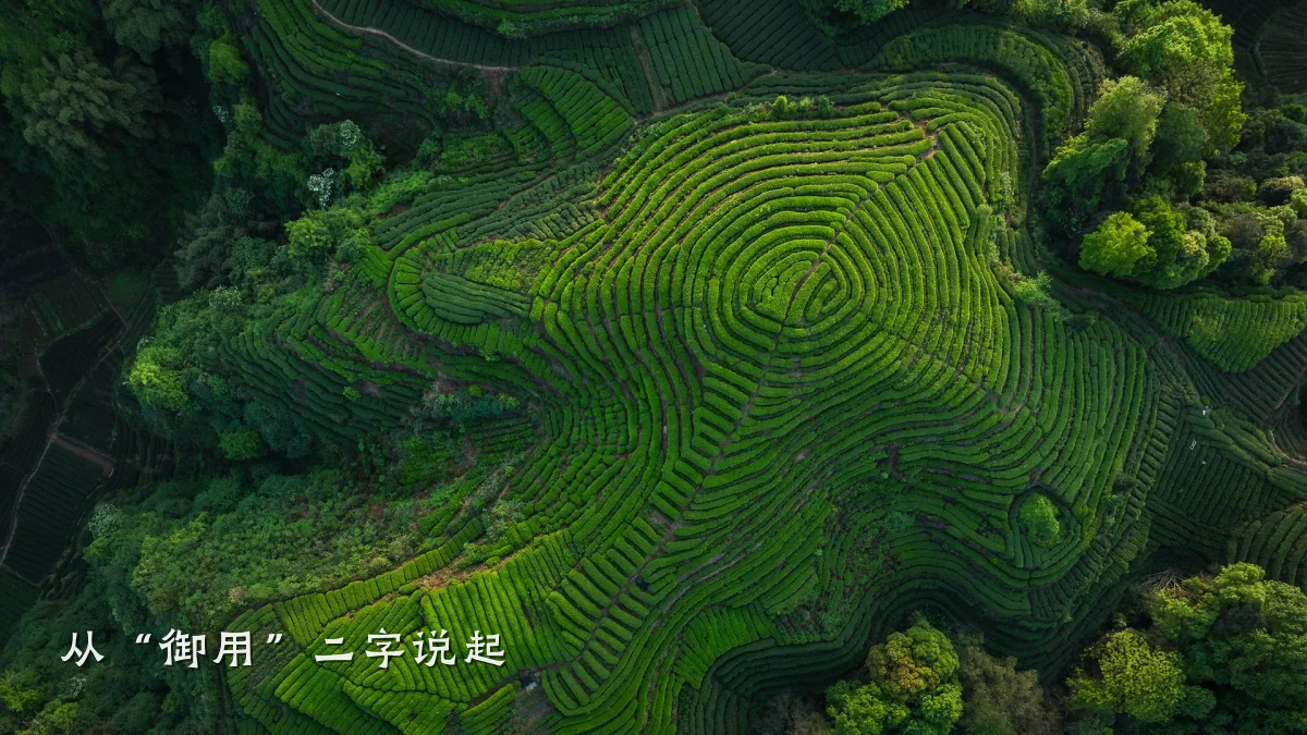 从“御用”二字说起