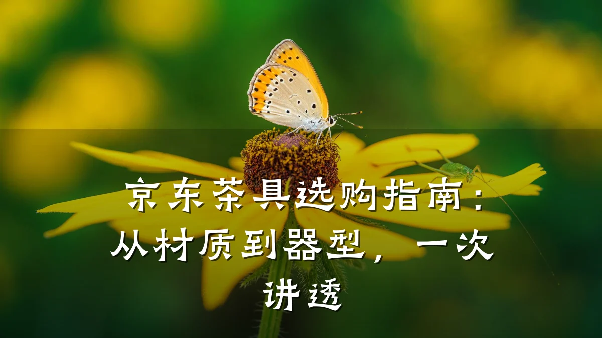 京东茶具选购指南:从材质到器型,一次讲透