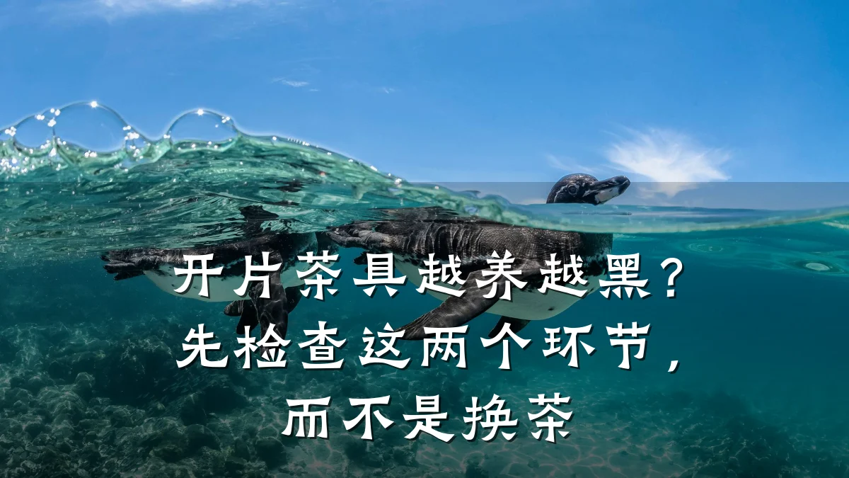 开片茶具越养越黑?先检查这两个环节,而不是换茶