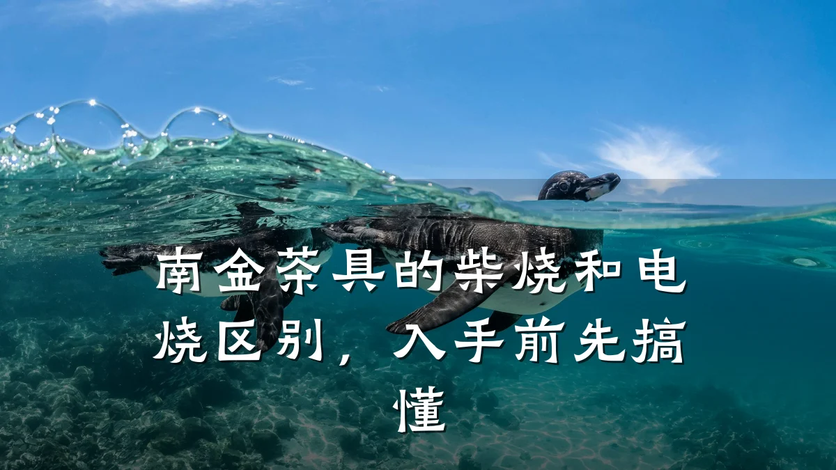 南金茶具的柴烧和电烧区别，入手前先搞懂