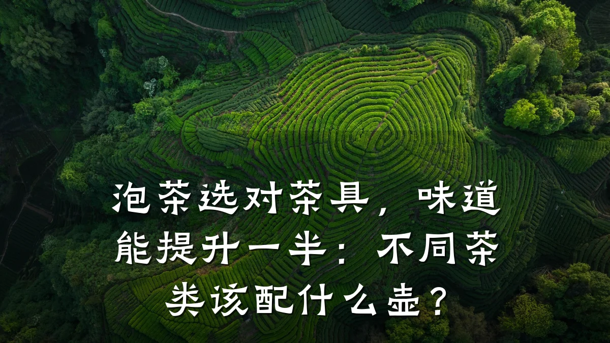 泡茶选对茶具，味道能提升一半：不同茶类该配什么壶？