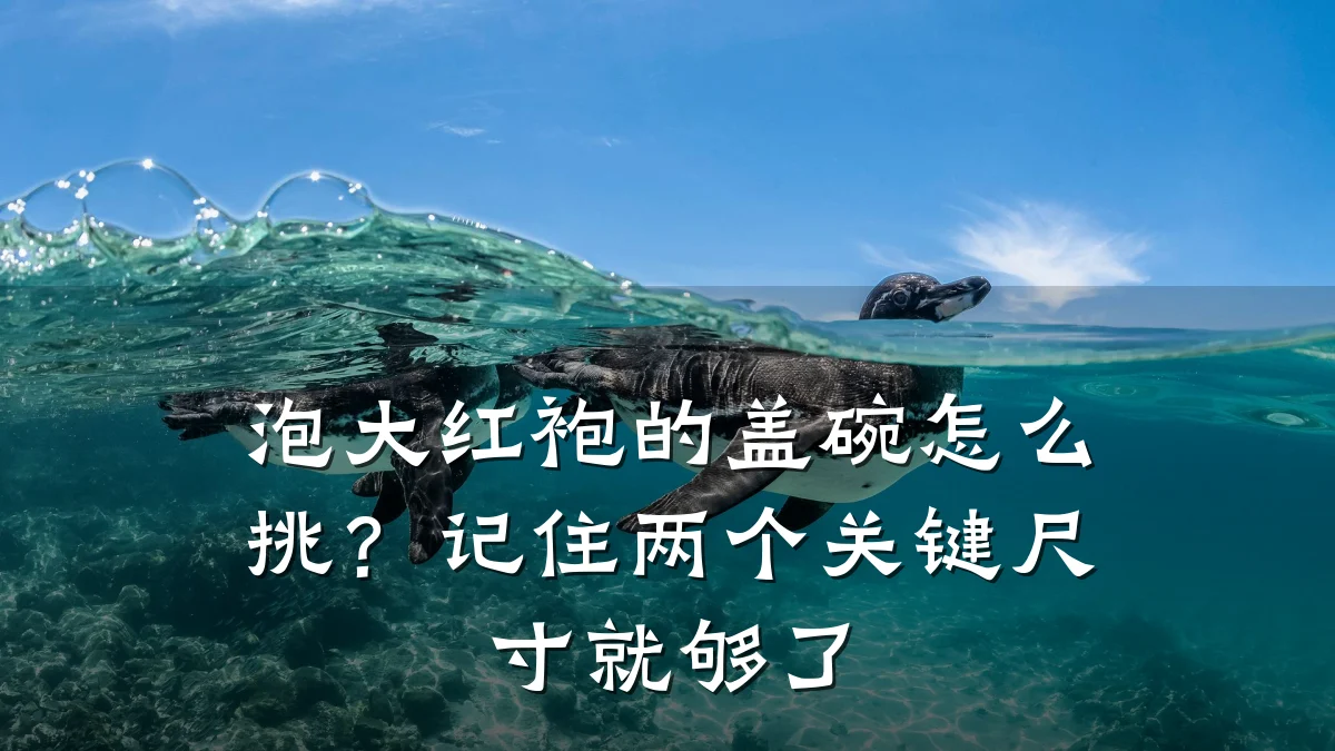 泡大红袍的盖碗怎么挑?记住两个关键尺寸就够了
