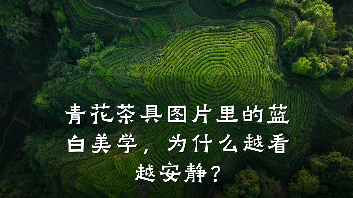 青花茶具图片里的蓝白美学,为什么越看越安静?