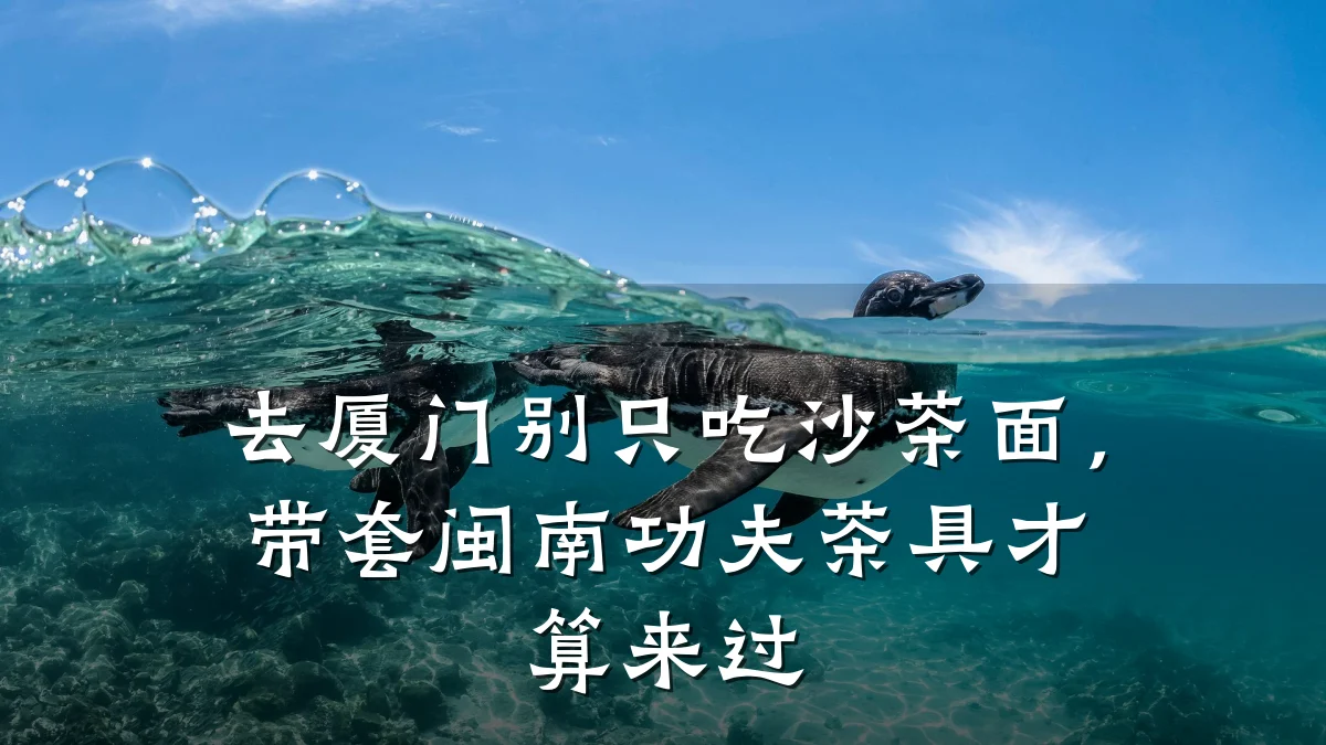 去厦门别只吃沙茶面,带套闽南功夫茶具才算来过