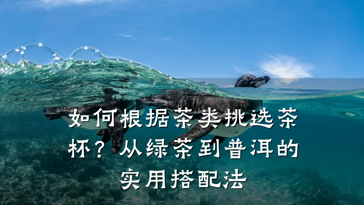如何根据茶类挑选茶杯？从绿茶到普洱的实用搭配法