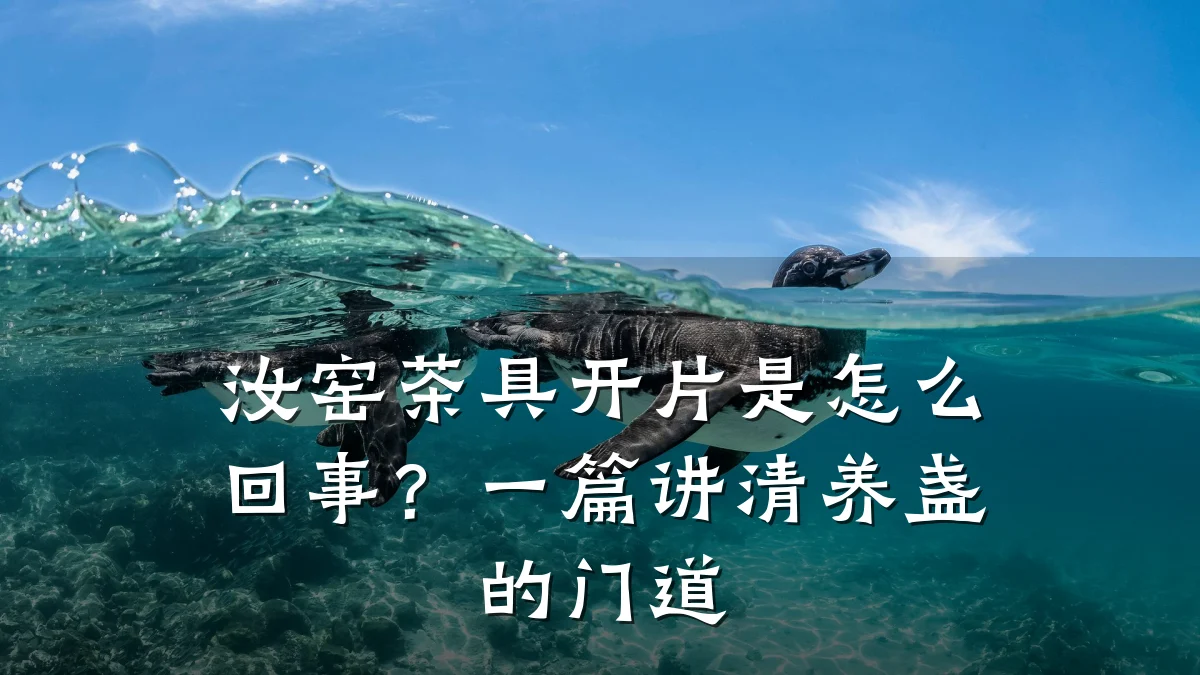 汝窑茶具开片是怎么回事?一篇讲清养盏的门道