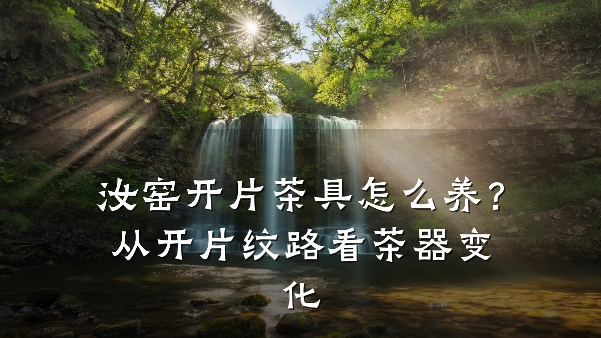 汝窑开片茶具怎么养?从开片纹路看茶器变化