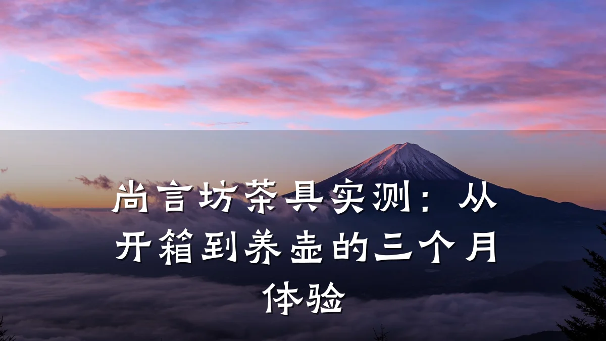 尚言坊茶具实测:从开箱到养壶的三个月体验