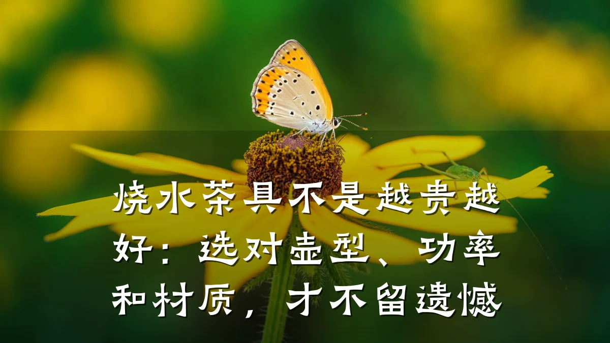 烧水茶具不是越贵越好:选对壶型、功率和材质,才不留遗憾