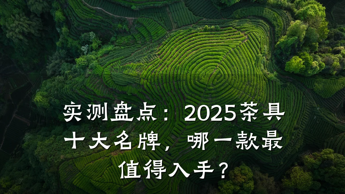 实测盘点:2025茶具十大名牌,哪一款最值得入手?