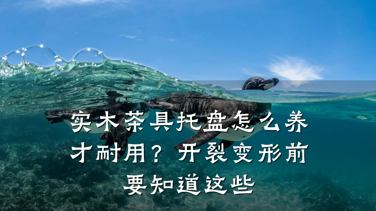 实木茶具托盘怎么养才耐用?开裂变形前要知道这些