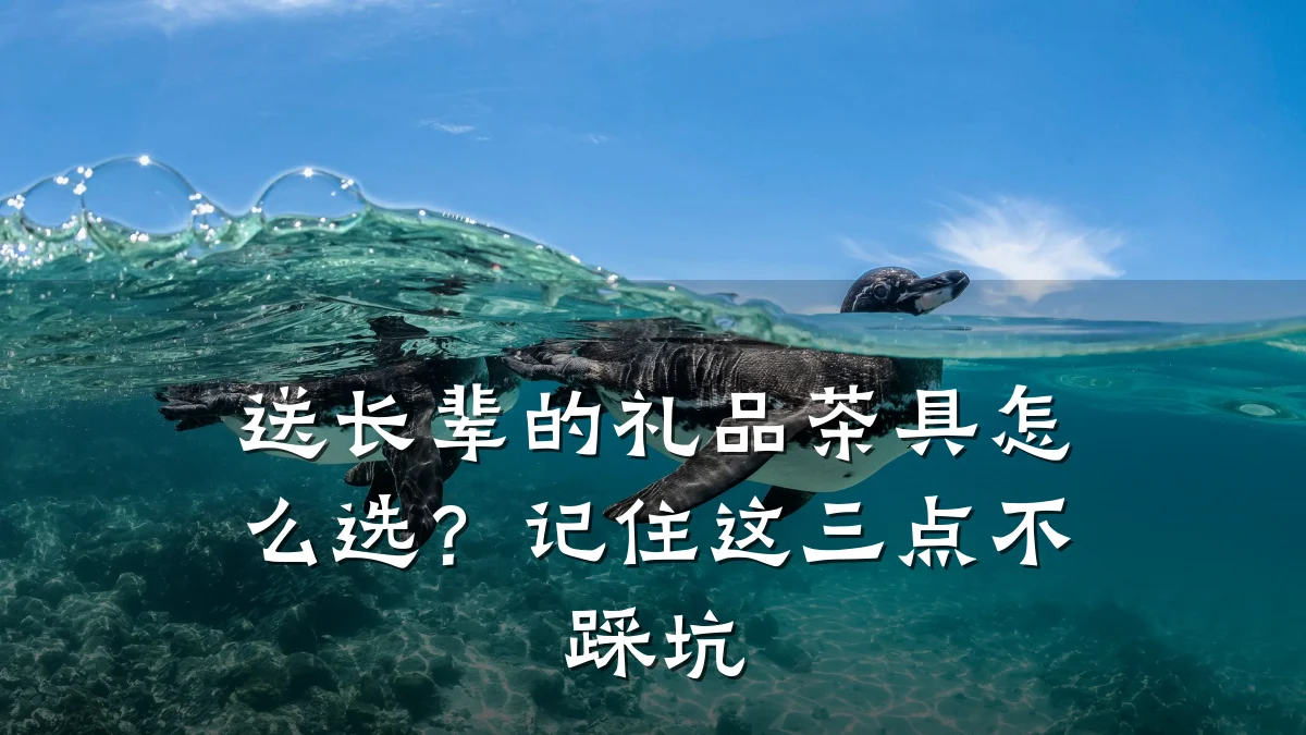 送长辈的礼品茶具怎么选?记住这三点不踩坑