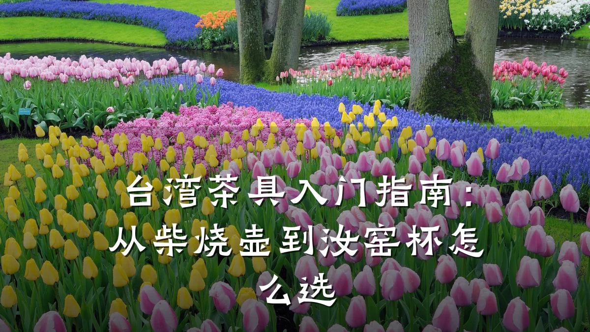 台湾茶具入门指南:从柴烧壶到汝窑杯怎么选