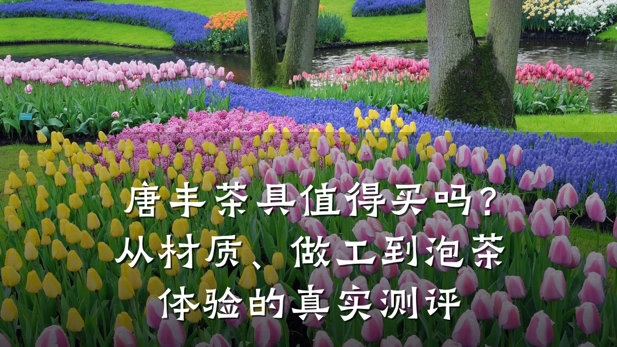 唐丰茶具值得买吗?从材质、做工到泡茶体验的真实测评
