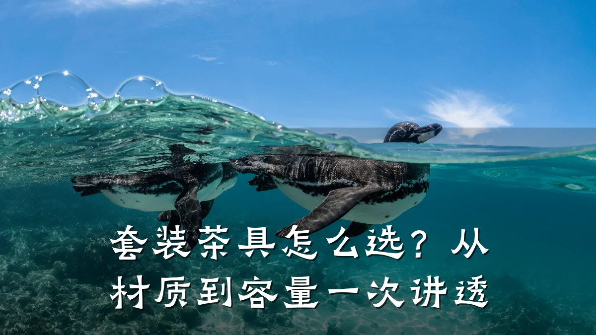 套装茶具怎么选?从材质到容量一次讲透