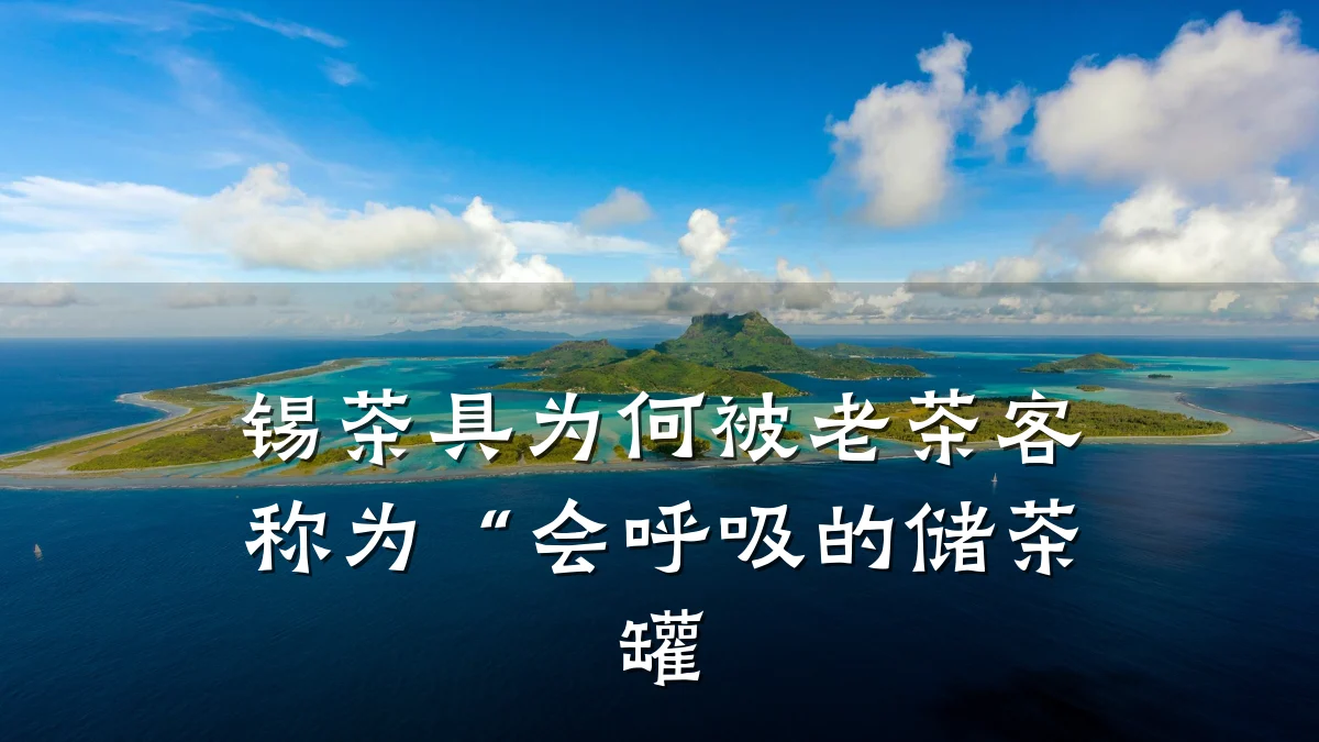 锡茶具为何被老茶客称为“会呼吸的储茶罐