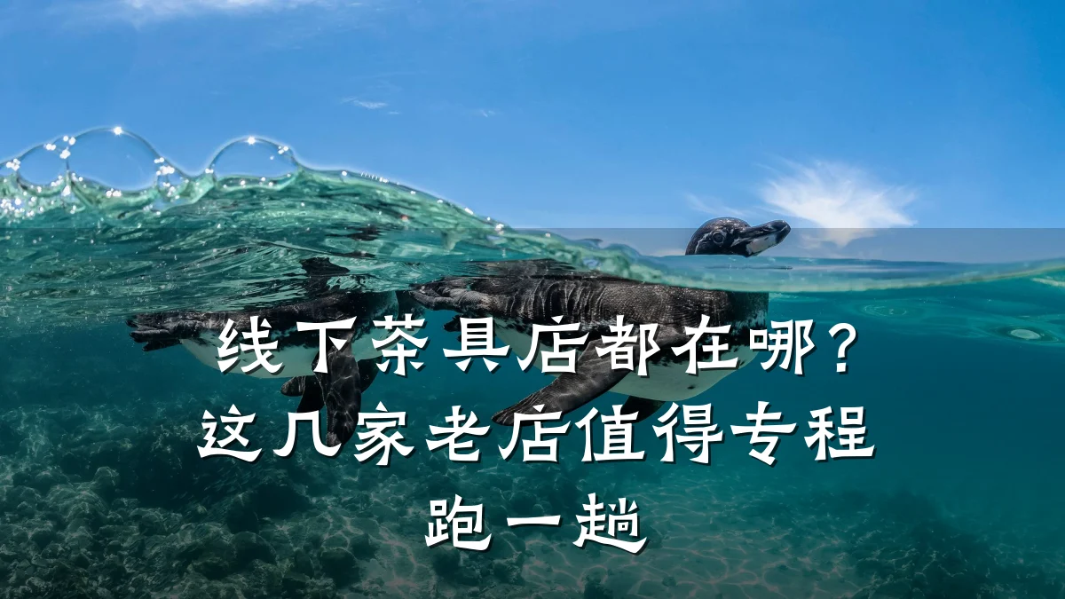 线下茶具店都在哪?这几家老店值得专程跑一趟