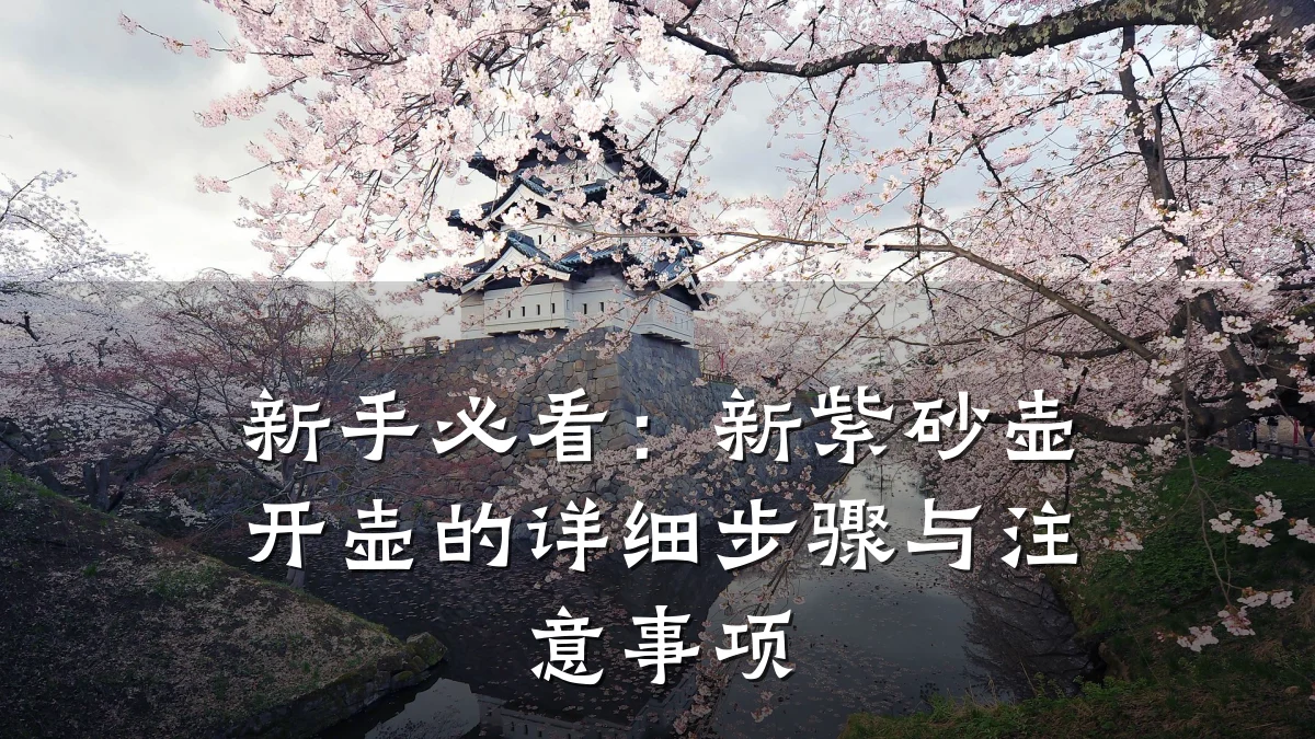 新手必看:新紫砂壶开壶的详细步骤与注意事项