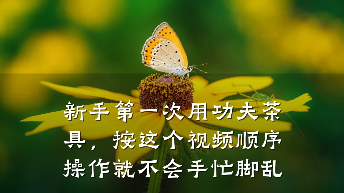 新手第一次用功夫茶具,按这个视频顺序操作就不会手忙脚乱