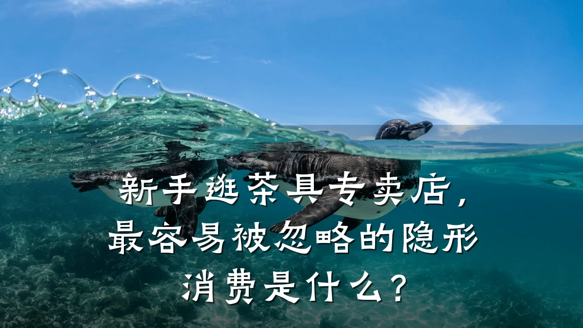 新手逛茶具专卖店，最容易被忽略的隐形消费是什么？