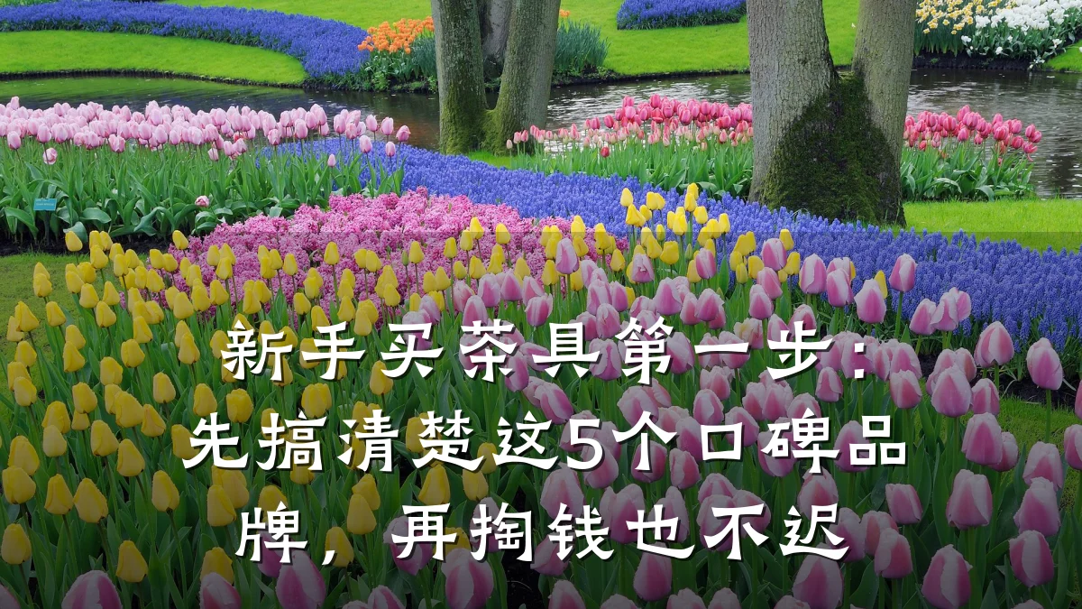新手买茶具第一步:先搞清楚这5个口碑品牌,再掏钱也不迟