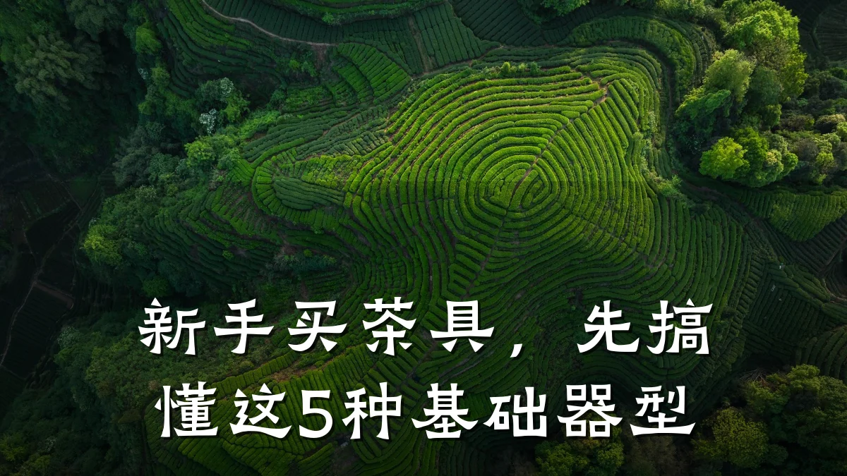 新手买茶具,先搞懂这5种基础器型