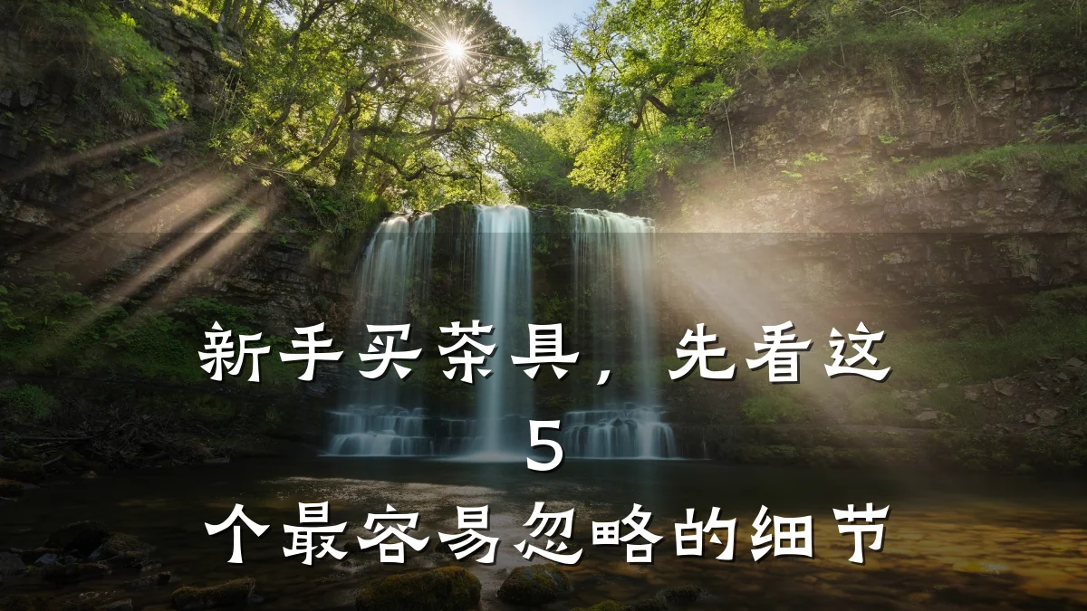 新手买茶具,先看这 5 个最容易忽略的细节