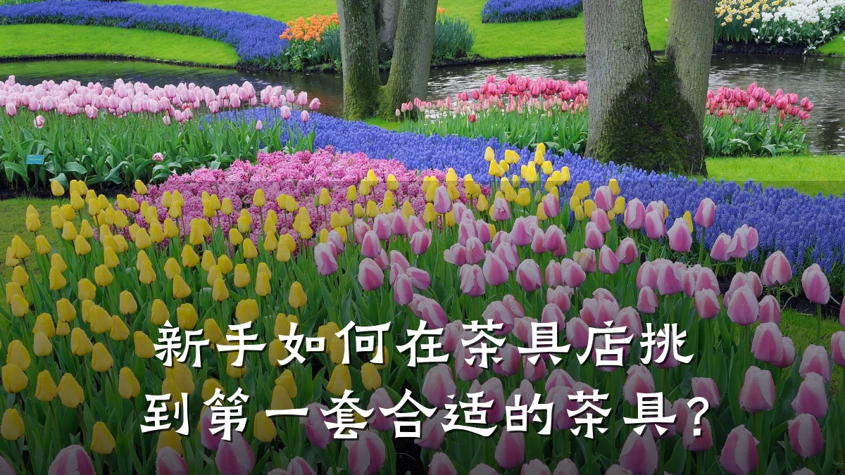新手如何在茶具店挑到第一套合适的茶具?