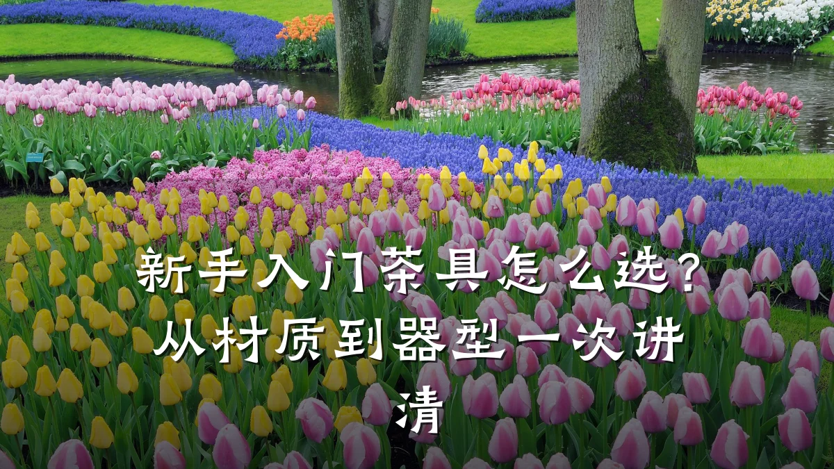 新手入门茶具怎么选?从材质到器型一次讲清