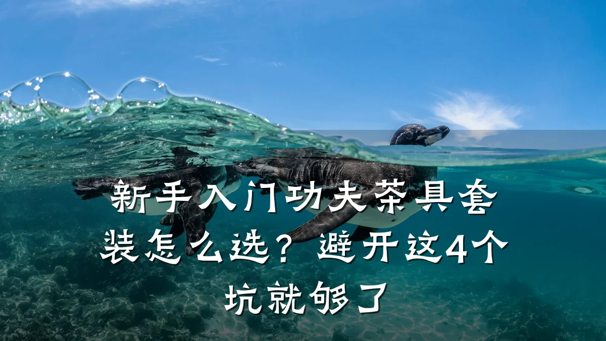 新手入门功夫茶具套装怎么选?避开这4个坑就够了